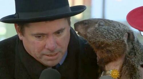 WIGrndHog
