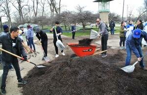 Mulch