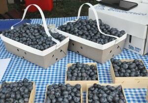 JoesBlueBerries JoesBlueBerries