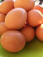 eggmound