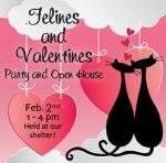 FelinesValentines