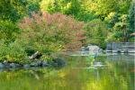 Anderson Japanese Gardens in Rockford* JapanesePond