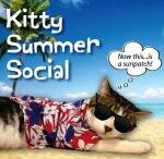 SunCat