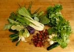 VegDisply