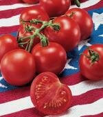 fourthJuly