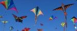 kites