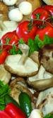 Mushroom